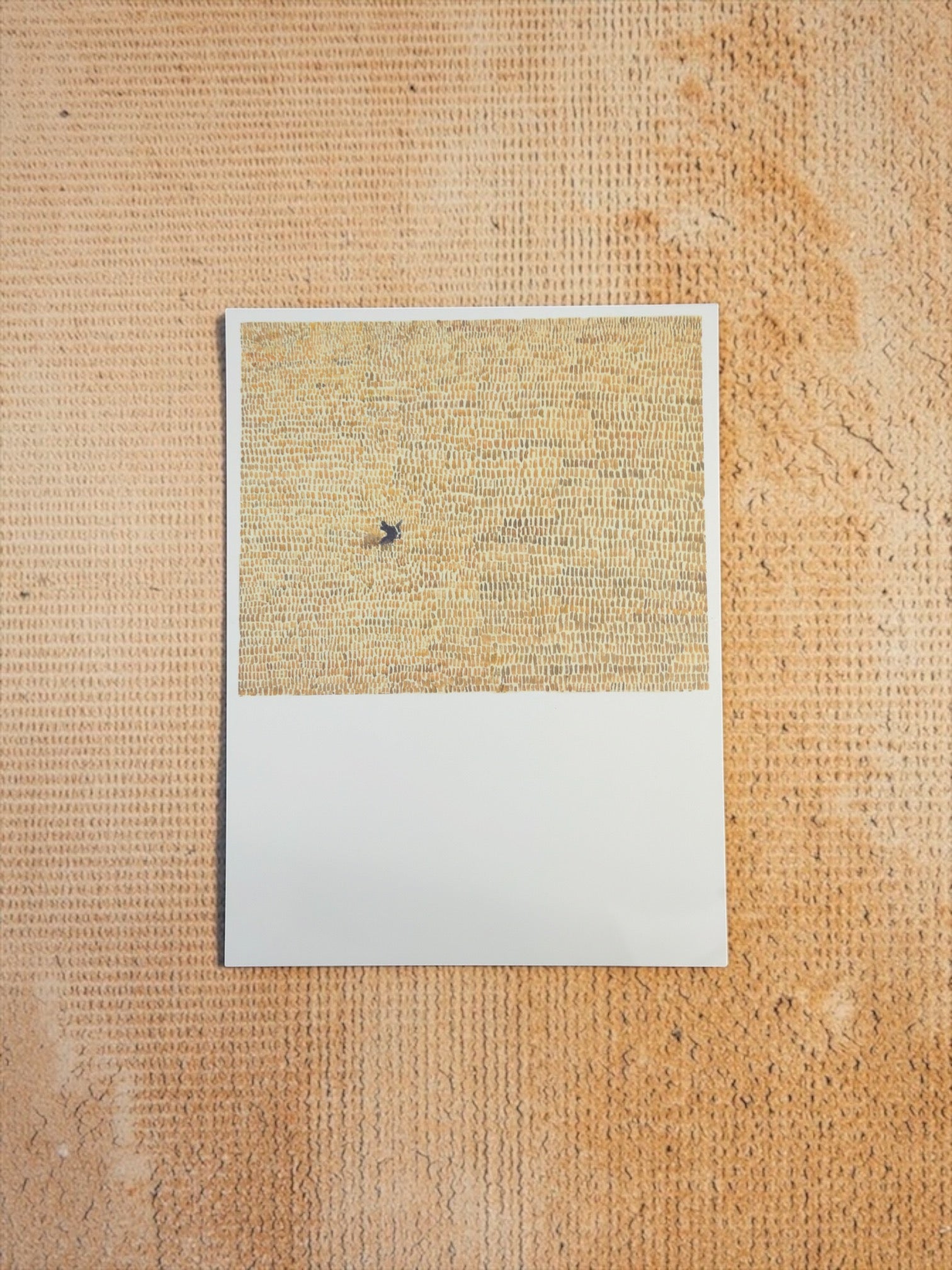 Laine Jones ‘Spring’ Fine art print, edition of 30