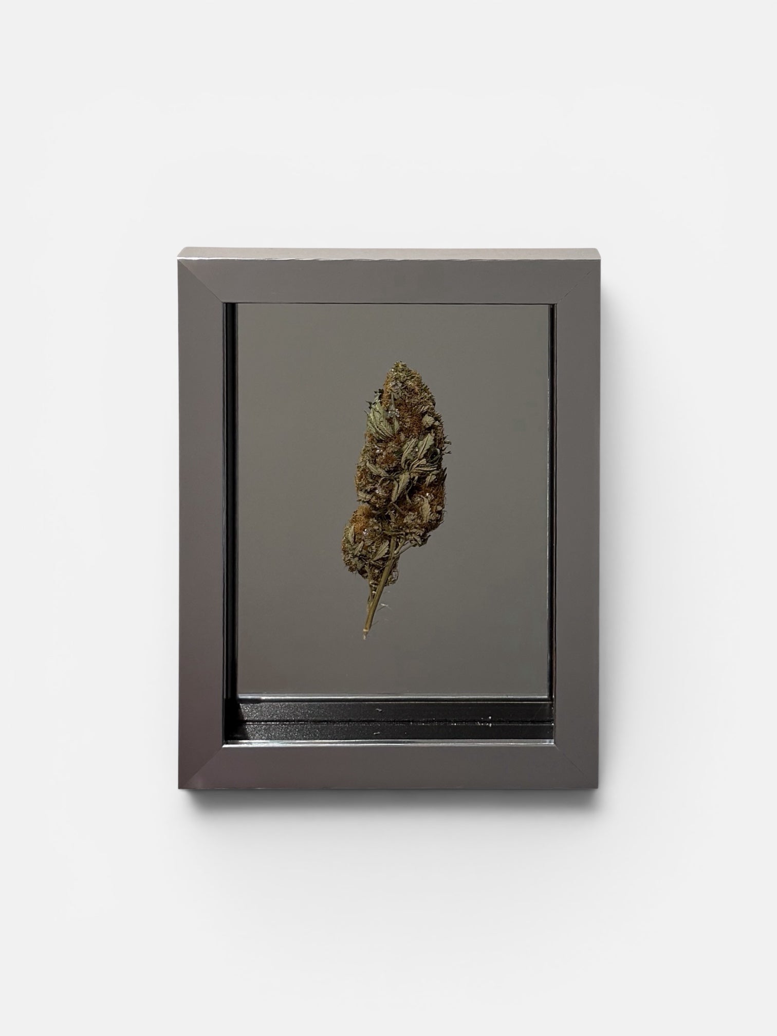 Mr Trim | A Girls Best Friend? (Green) | Treated and Sprayed Botanicals | Mirror, Diamond Dust, Shards
