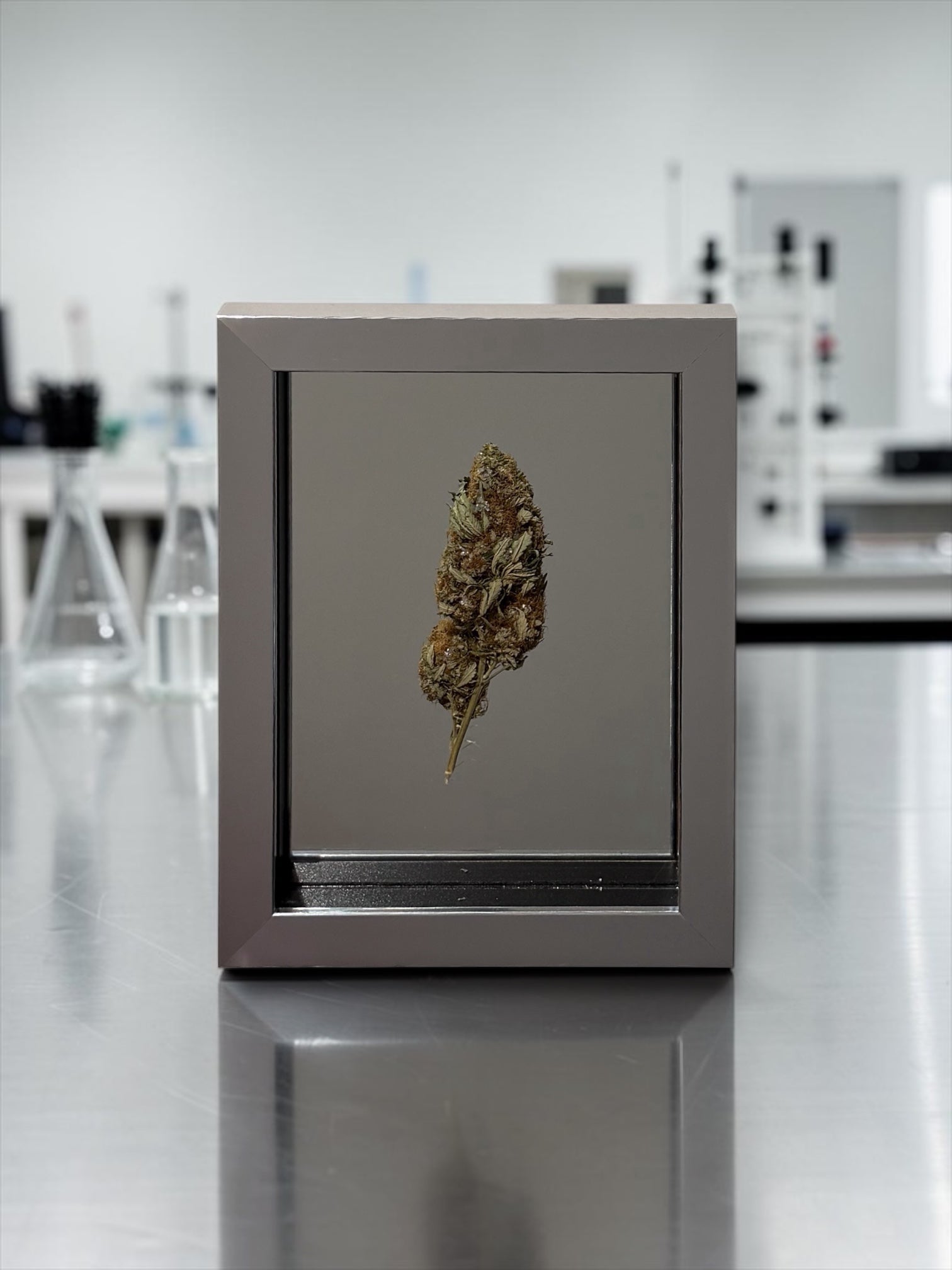 Mr Trim | A Girls Best Friend? (Green) | Treated and Sprayed Botanicals | Mirror, Diamond Dust, Shards