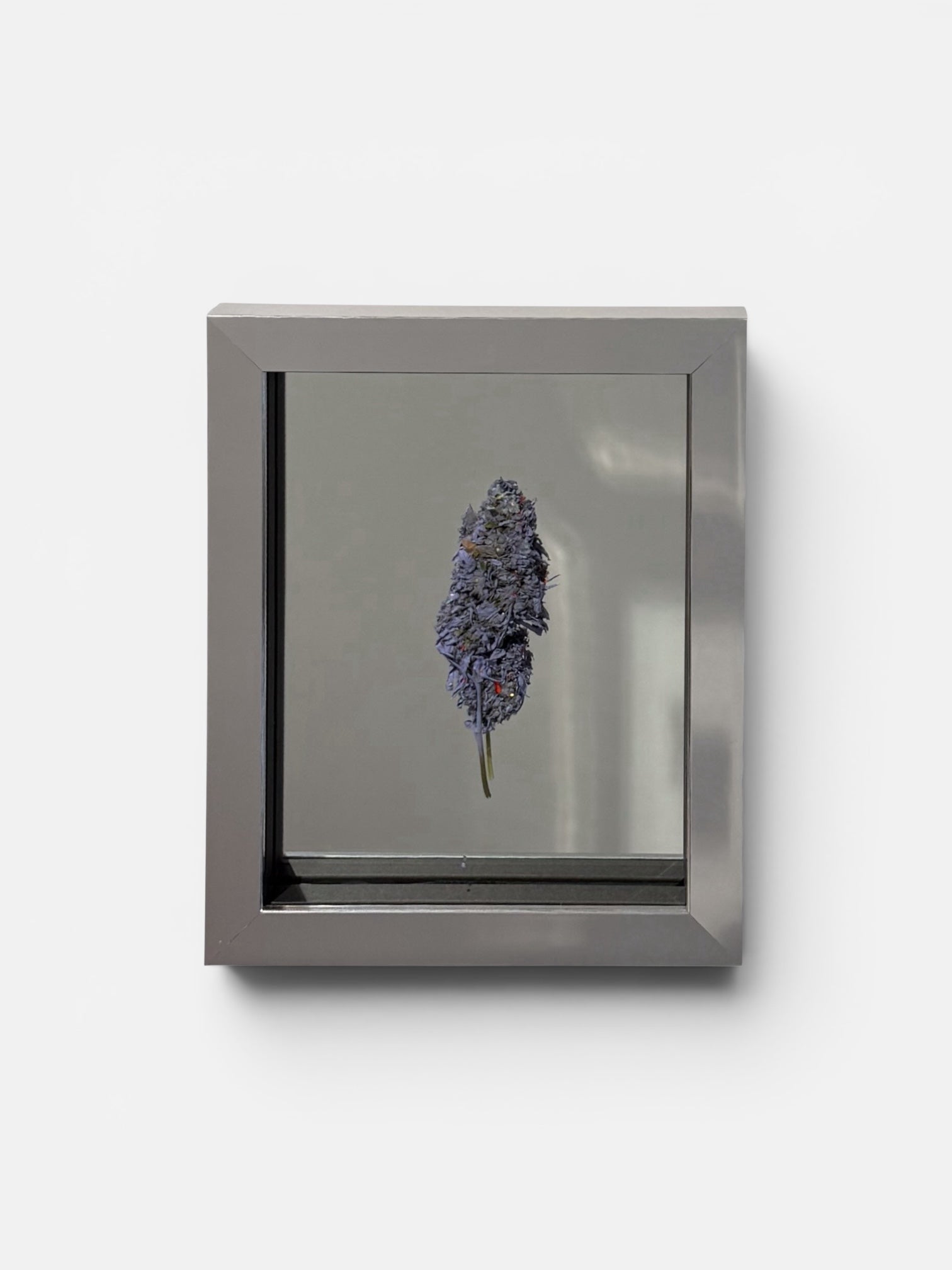 Mr Trim | A Girls Best Friend? (Purple) | Treated and Sprayed Botanicals | Mirror, Diamond Dust, Shards