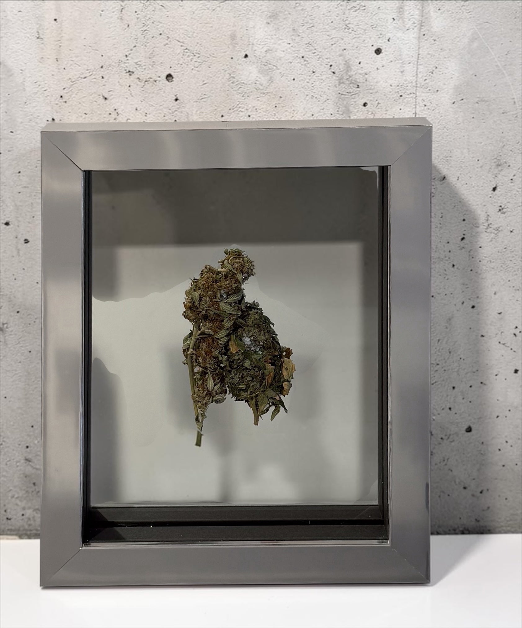 Mr Trim | A Girls Best Friend? (Pure) | Treated and Sprayed Botanicals | Mirror, Diamond Dust, Shards (Copy)