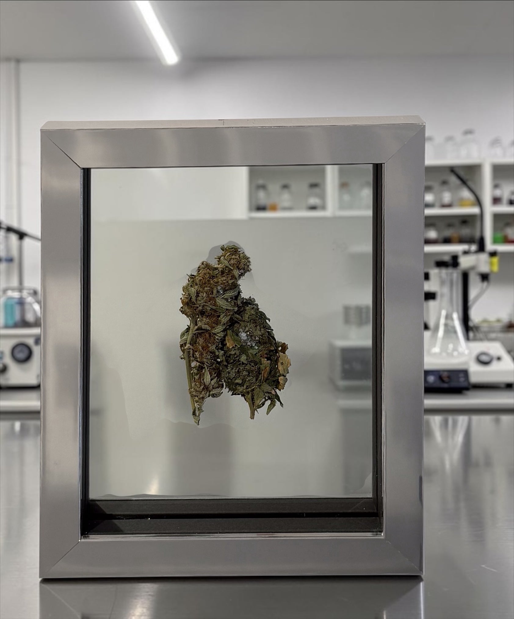 Mr Trim | A Girls Best Friend? (Pure) | Treated and Sprayed Botanicals | Mirror, Diamond Dust, Shards (Copy)