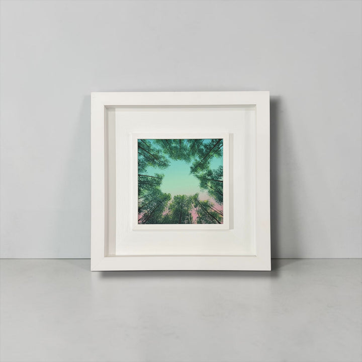 Framed artwork of a forest canopy in shape of a heart, by Vincent Devine